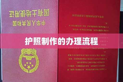 藁城护照制作的办理流程
